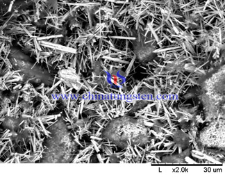 紫色氧化钨电镜照片
