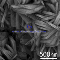 plate like VTO SEM image