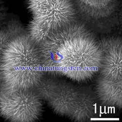 mara-urchin cosúil le micrograph VTO SEM