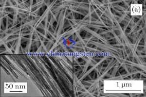 wolfraamoxide nanodraden SEM afbeelding