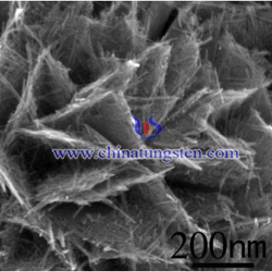 violet-tungsten oxide SEM micrograph