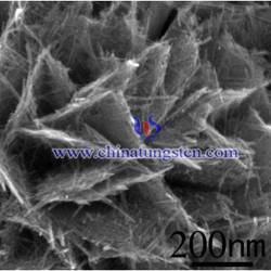 أكسيد البنفسج التنغستن SEM micrograph